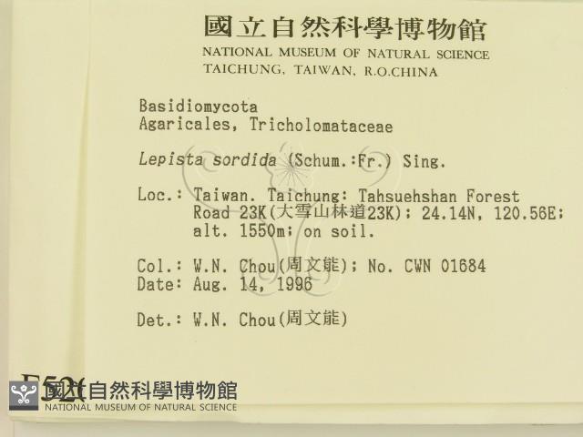登錄號:F0005205藏品圖，第2張