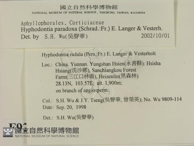登錄號:F0009205藏品圖，第2張