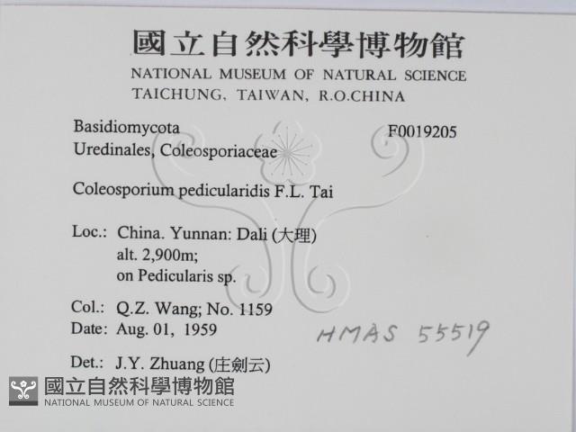 登錄號:F0019205藏品圖，第2張