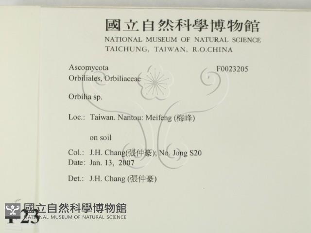 登錄號:F0023205藏品圖，第2張