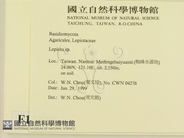 登錄號:F0013205藏品圖，第2張