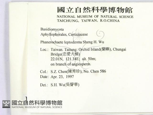 登錄號:F0008805藏品圖，第2張