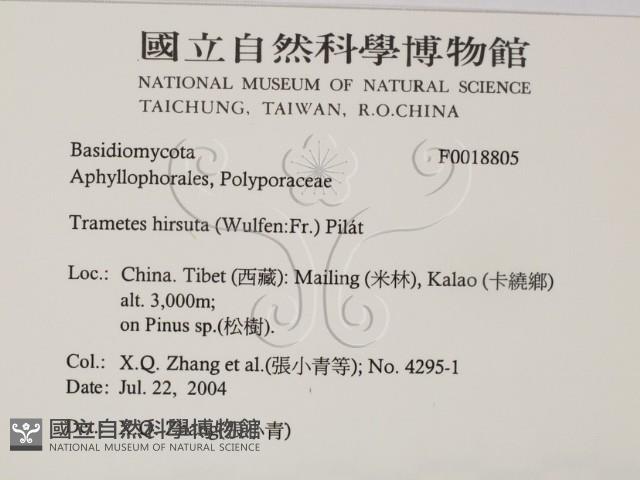 登錄號:F0018805藏品圖，第2張
