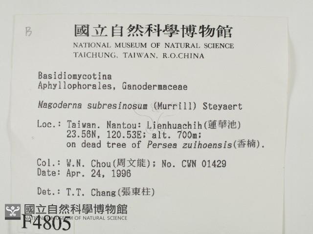 登錄號:F0004805藏品圖，第2張