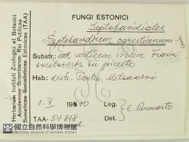 登錄號:F0015805藏品圖，第2張