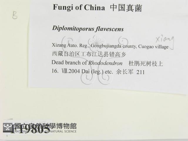 登錄號:F0019805藏品圖，第2張