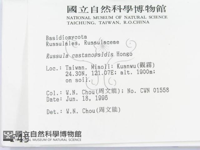 登錄號:F0004905藏品圖，第2張