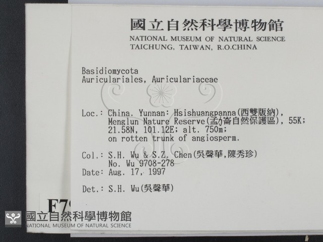 登錄號:F0007905藏品圖，第2張