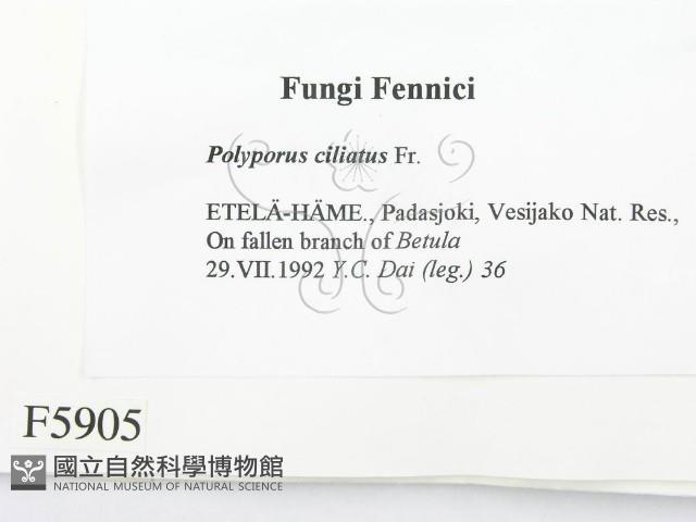 登錄號:F0005905藏品圖，第2張