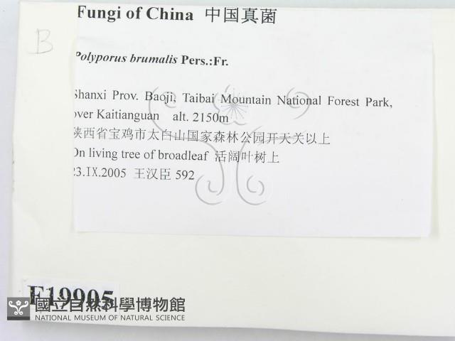 登錄號:F0019905藏品圖，第2張