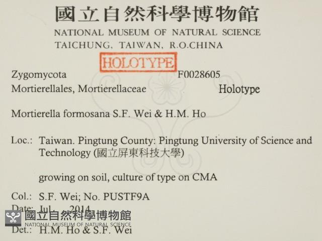 登錄號:F0028605藏品圖，第2張