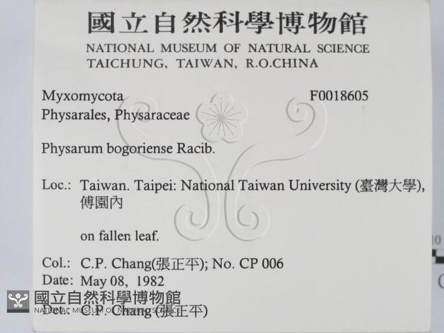 登錄號:F0018605藏品圖，第2張