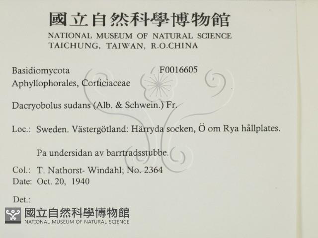 登錄號:F0016605藏品圖，第2張