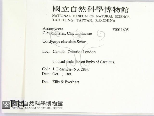 登錄號:F0011605藏品圖，第2張