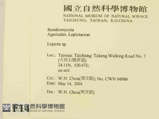 登錄號:F0014605藏品圖，第2張