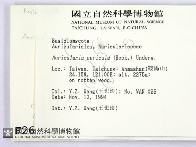 木耳藏品圖，第2張