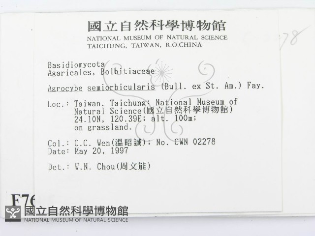 登錄號:F0007605藏品圖，第2張