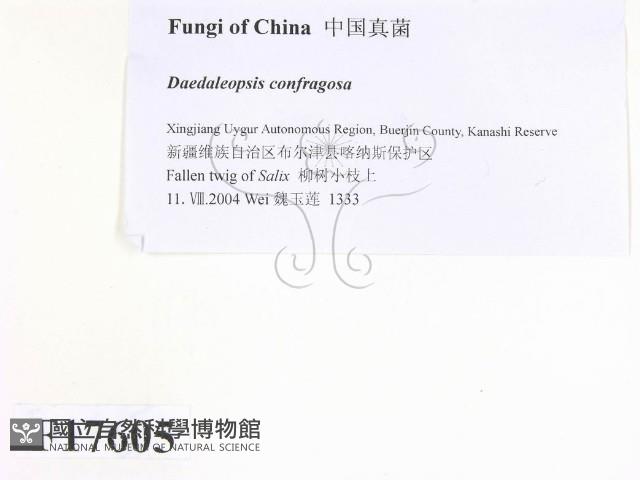 登錄號:F0017605藏品圖，第2張