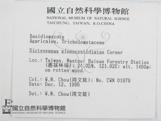 登錄號:F0005605藏品圖，第2張