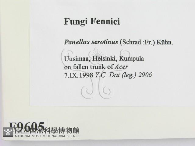 登錄號:F0009605藏品圖，第2張