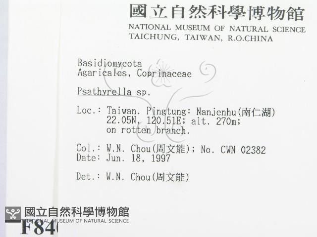 登錄號:F0008405藏品圖，第2張