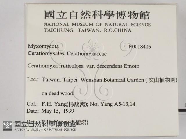 登錄號:F0018405藏品圖，第2張