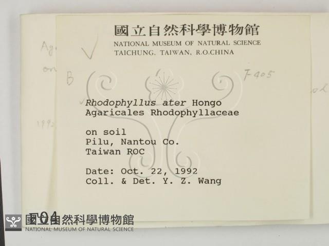 登錄號:F0000405藏品圖，第2張
