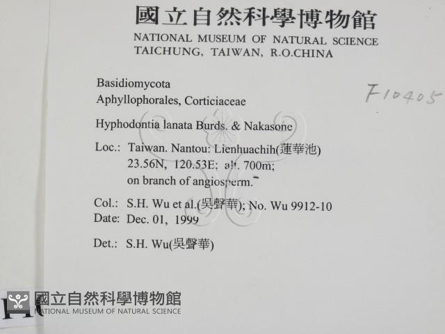 登錄號:F0010405藏品圖，第2張