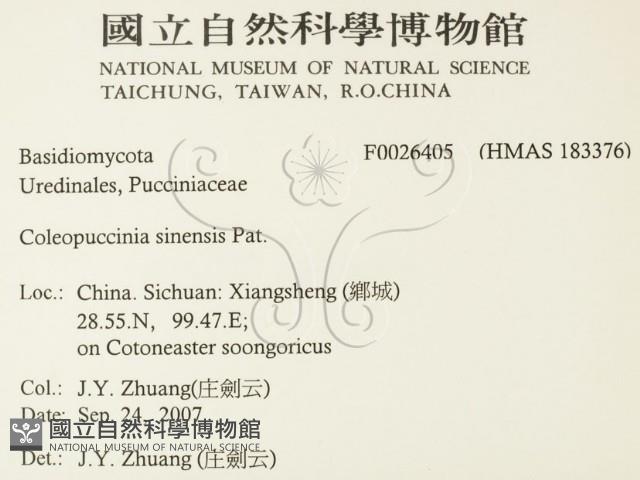 登錄號:F0026405藏品圖，第2張