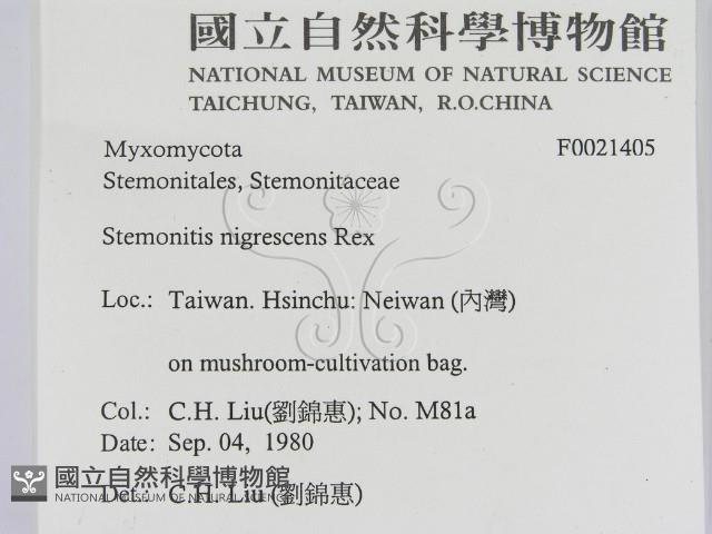 登錄號:F0021405藏品圖，第2張