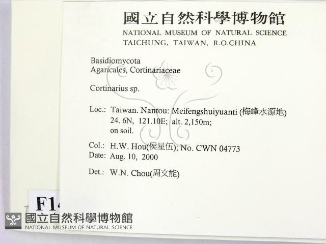 登錄號:F0014405藏品圖，第2張