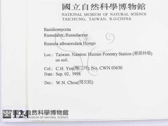 登錄號:F0012405藏品圖，第2張
