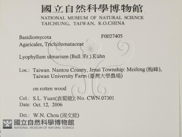 登錄號:F0027405藏品圖，第2張