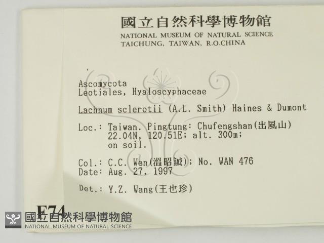 登錄號:F0007405藏品圖，第2張