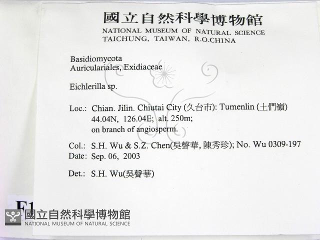登錄號:F0015405藏品圖，第2張
