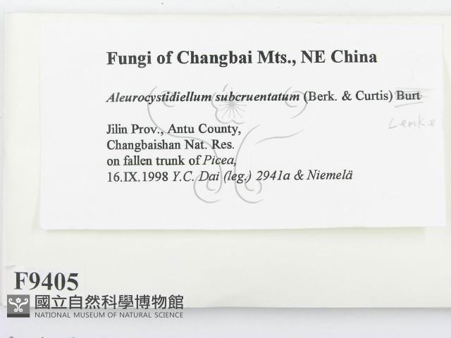 登錄號:F0009405藏品圖，第2張