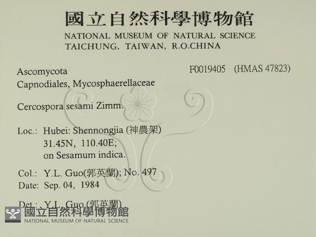 登錄號:F0019405藏品圖，第2張