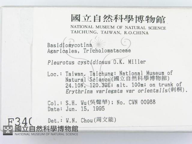 登錄號:F0003405藏品圖，第2張