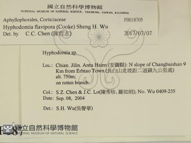 登錄號:F0018705藏品圖，第1張