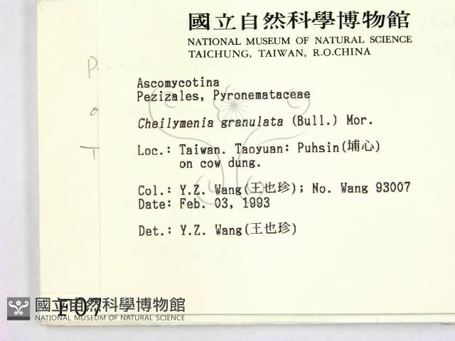 登錄號:F0000705藏品圖，第2張