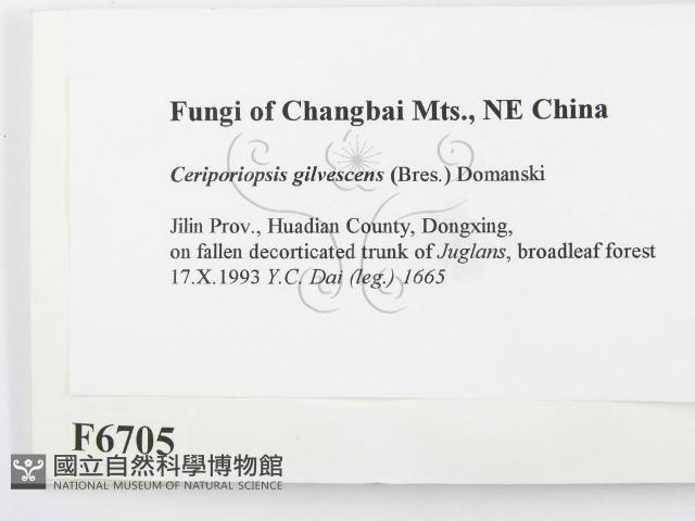 登錄號:F0006705藏品圖，第2張