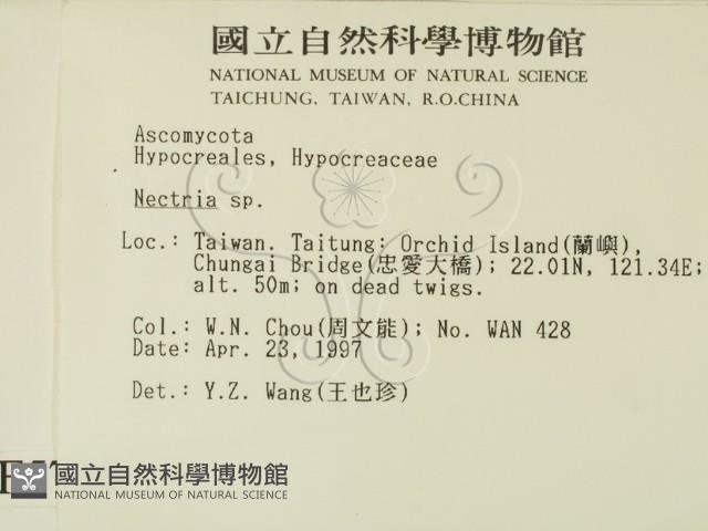 登錄號:F0005705藏品圖，第2張