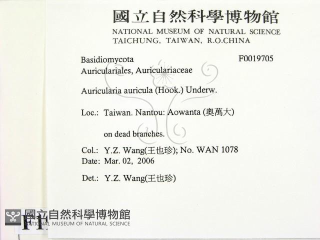 登錄號:F0019705藏品圖，第2張