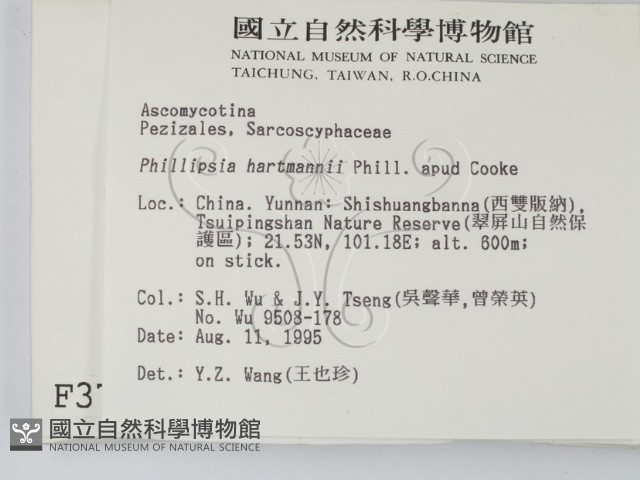 登錄號:F0003705藏品圖，第2張