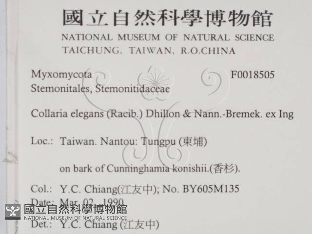 登錄號:F0018505藏品圖，第2張