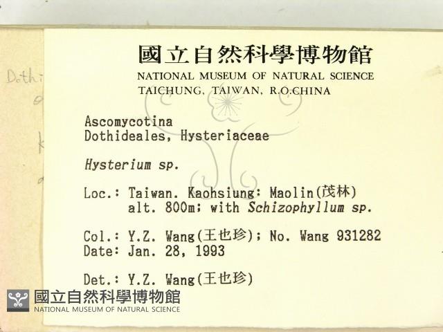 登錄號:F0000505藏品圖，第2張