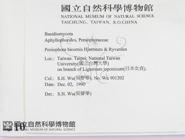 登錄號:F0010505藏品圖，第2張