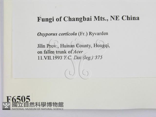 登錄號:F0006505藏品圖，第2張