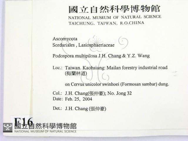 登錄號:F0016505藏品圖，第2張