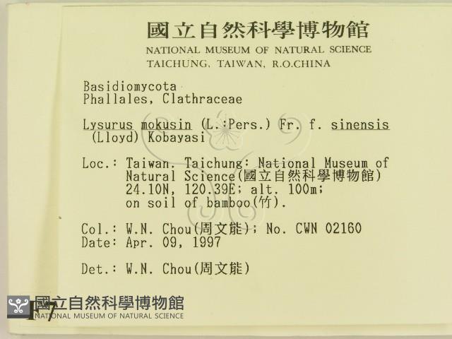 登錄號:F0007505藏品圖，第2張